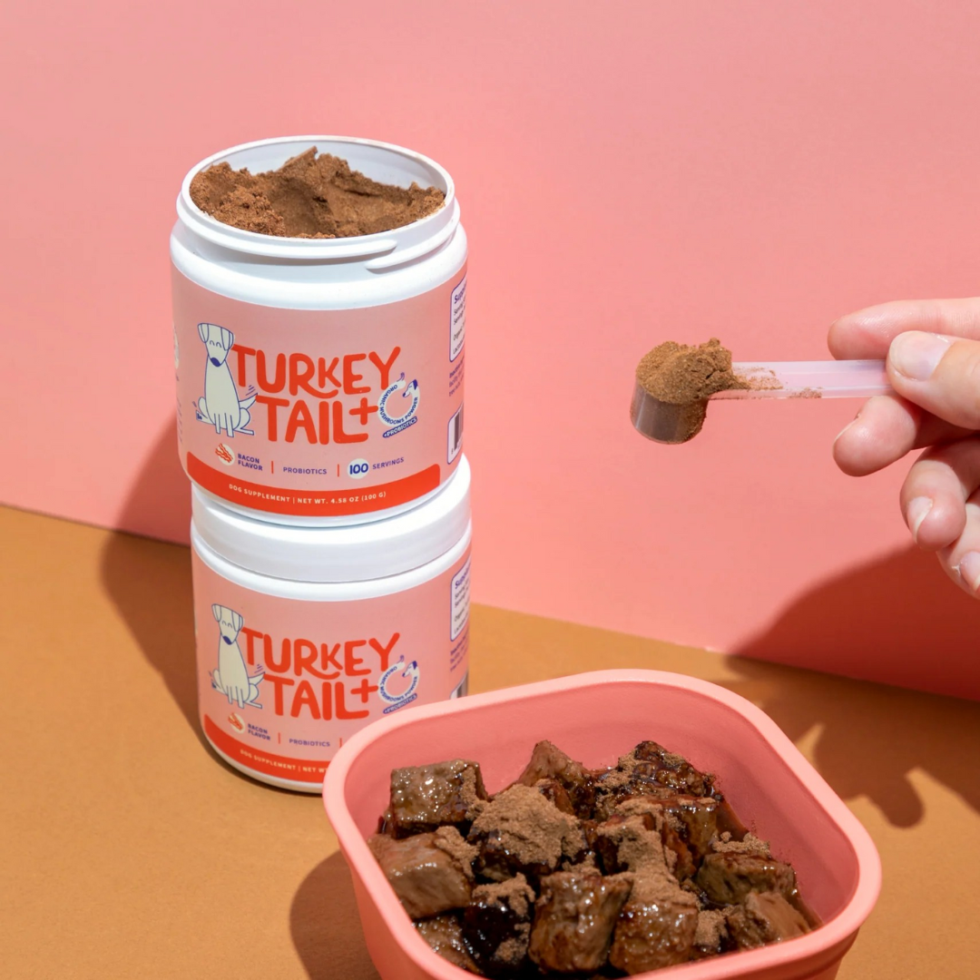 CanisPSP™ Clinical-Grade Turkey Tail